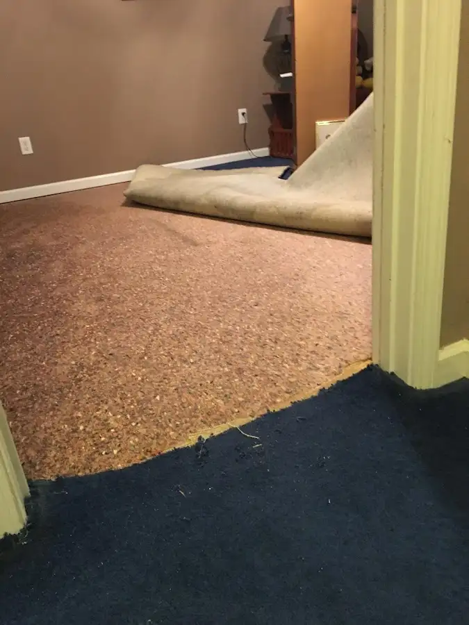 Carpet pad removal revealing water damage during Drying & Dehumidification in Broadview Heights
